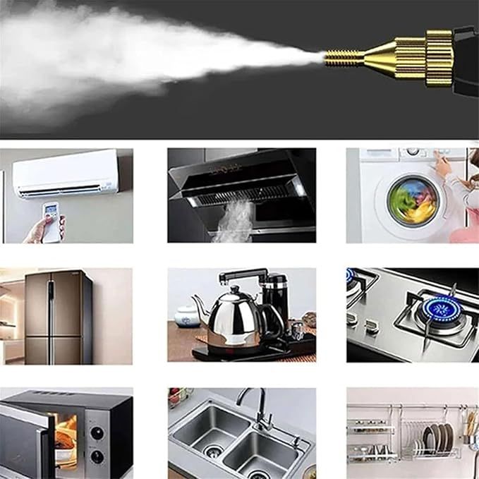 Pressurized Steam Cleaner Image description