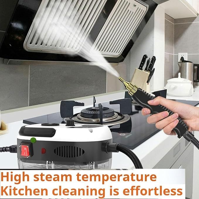 Pressurized Steam Cleaner Image description